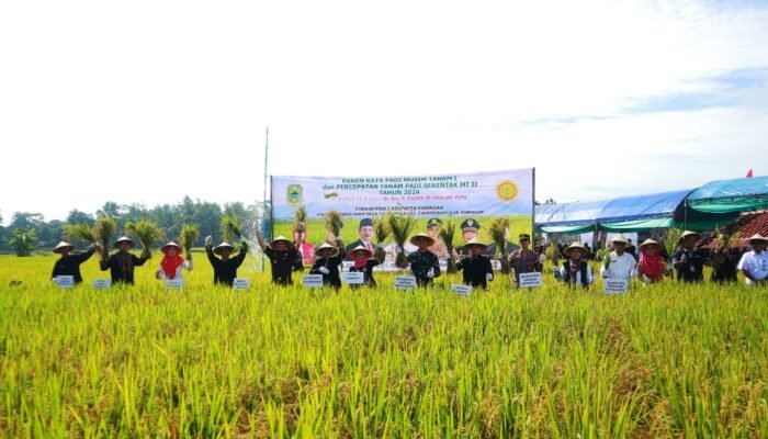 Rahasia Petani Kuningan Panen Lebih Awal: Manfaatkan Air Pegunungan, Sukses Amankan Pasokan Pangan