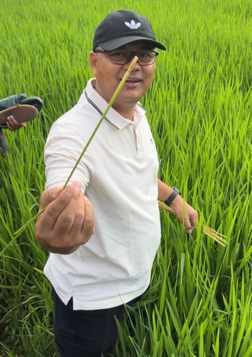 Tak lagi jadi Pj Sekda Kuningan, Wahyu Hidayah kembali ke sawah sebagai Kadiskatan memimpin gerdal hama padi demi jaga ketahanan pangan.