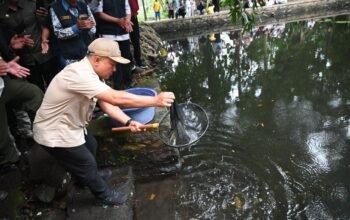 Kuningan Perkuat Komitmen Lingkungan, 150 Benih Ikan Dewa Dilepas di Situs Keramat Sangkanurip