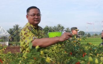 Warga Kuningan Tenang! Stok Pangan Melimpah, Harga Sayuran Dijamin Stabil Jelang Natal 2025 dan Tahun Baru 2026