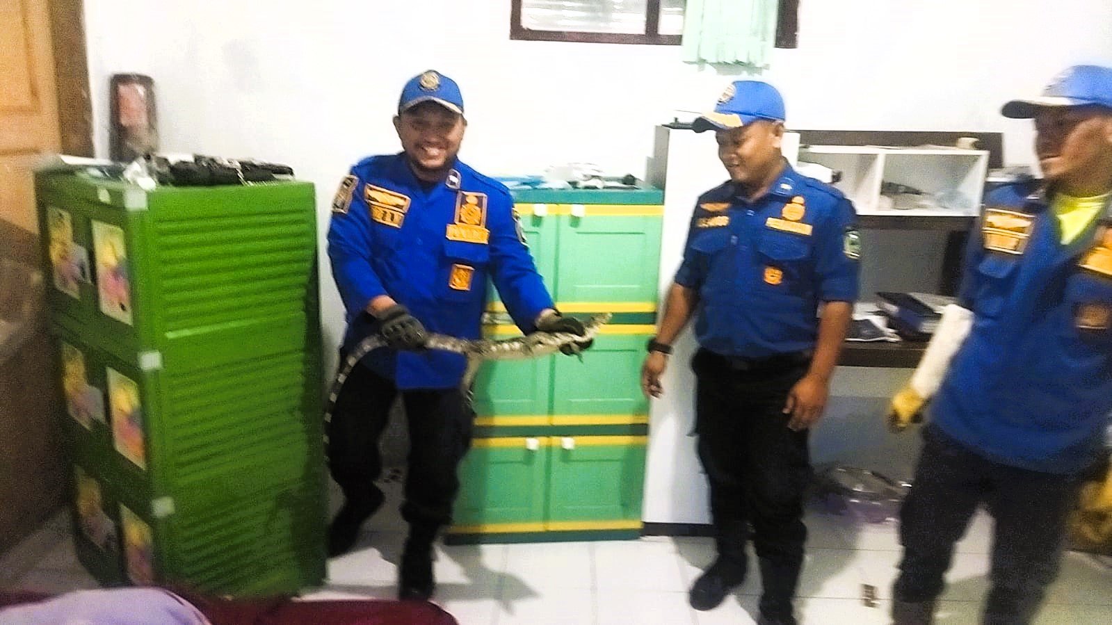 Damkar Kuningan menangkap biawak yang bersembunyi di balik lemari rumah Tedy, warga Jalan Juanda, Lamepayung, Kabupaten Kuningan, Jawa Barat, (24/1/2026).