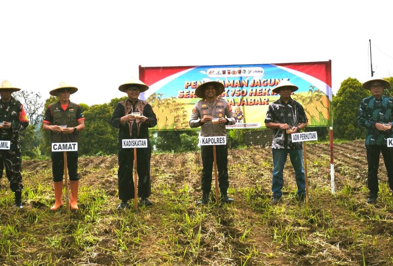Polres Kuningan dan Pemkab tanam jagung serentak di 27 lokasi. Manfaatkan lahan 22,5 Ha untuk dongkrak ekonomi petani lokal, (29/1/2026).