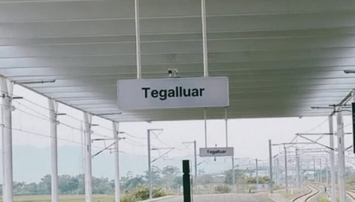 PERSIB Silent di Bursa Transfer Liga 1: Dua Pemain Grade A Rahasia Latihan, Lucas Cardoso Terpantau di Stasiun Whoosh Tegalluar