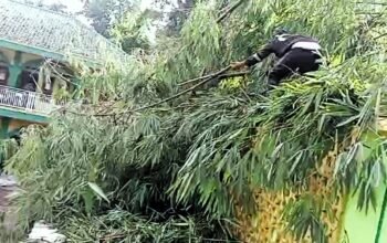 70 Batang Bambu Menimpa Masjid Pesantren Darunnajah di Kalapagunung, Damkar Kuningan Turun Tangan!
