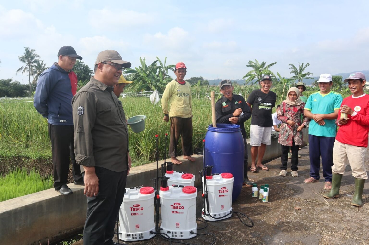 Diskatan Kuningan kawal pengendalian tungro di Cikaso, demi menjaga hasil panen dan mewujudkan surplus beras 2026.