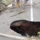 Sinkhole Putuskan Akses Jembatan Cibungkan di Kuningan: Gorong-gorong Amblas 6 Meter!