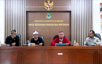 Kuningan Pacu Tanam Padi Jelang Tutup Bulan, Target 5.153 Hektare Tinggal Sedikit Lagi