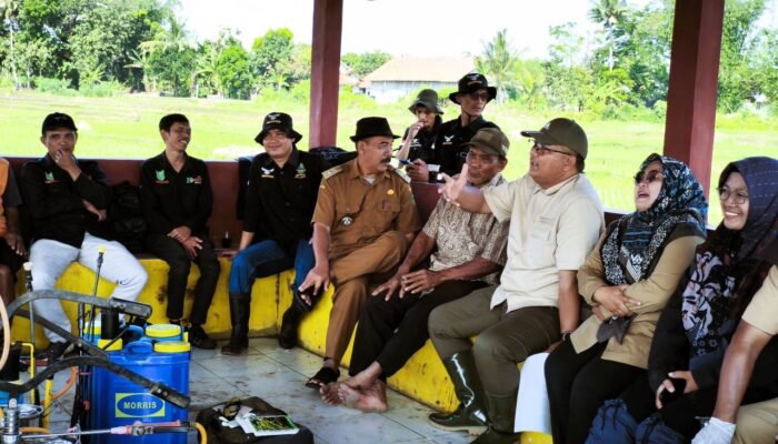 Ketahanan Pangan dan Pertanian di Kuningan: Tameng Ganda Menjaga Bulir Padi Tetap Berisi saat Kemarau Tiba