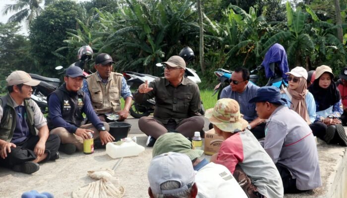 Duduk di Pematang Sawah, Diskatan Kuningan Ajak Petani Cikaso Basmi Hama Wereng