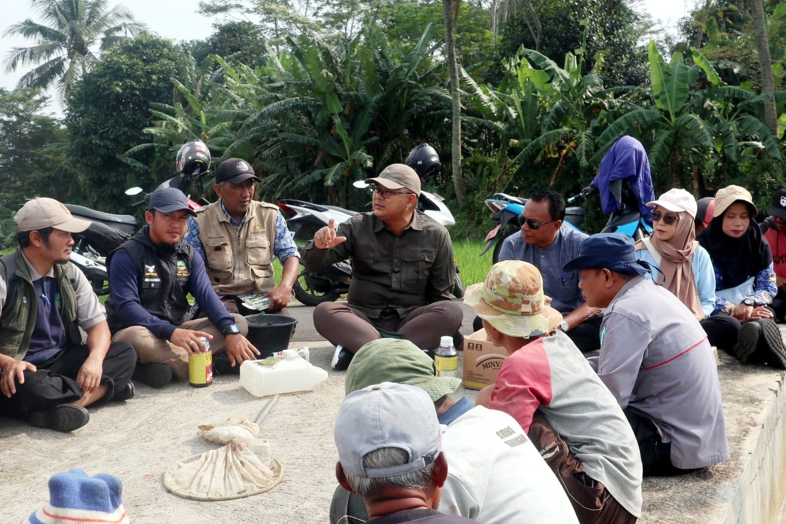 Pendekatan langsung ke petani jadi kunci Diskatan Kuningan kendalikan hama wereng di Cikaso, 20 hektare sawah terhindar dari ancaman puso.