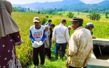 Aksi Cepat di Cikadu: Jurus Diskatan Kuningan Putus Siklus Hama Tikus yang Resahkan Petani