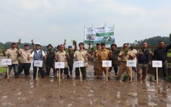 Kuningan Genjot Target LTT 5.671 Hektare, Kementan: Habis Panen Lahan Jangan Dibiarkan Menganggur!