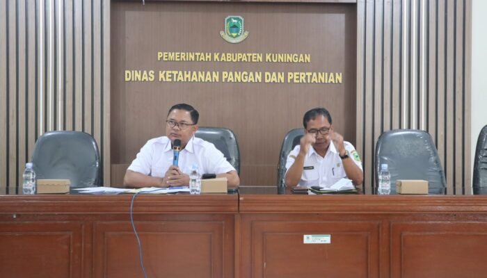 Kuningan Bangun 550 Hektare Kelapa Genjah, 60.500 Tanaman Disiapkan Menjadi Investasi Baru Petani