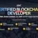 PBA Labs Buka Pendaftaran Certified Blockchain Developer Course